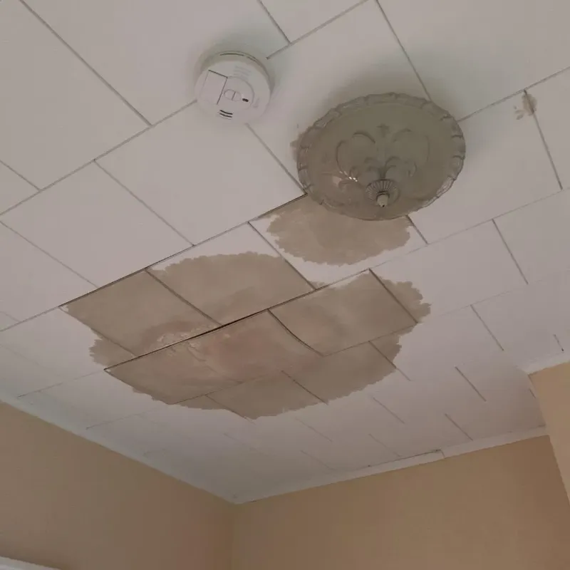 Ceiling Water Damage Repair in Beaver Dam Lake, NY