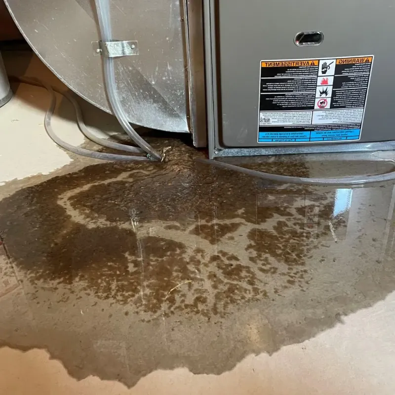 Pipe Burst and Leak Restoration in Beaver Dam Lake, NY